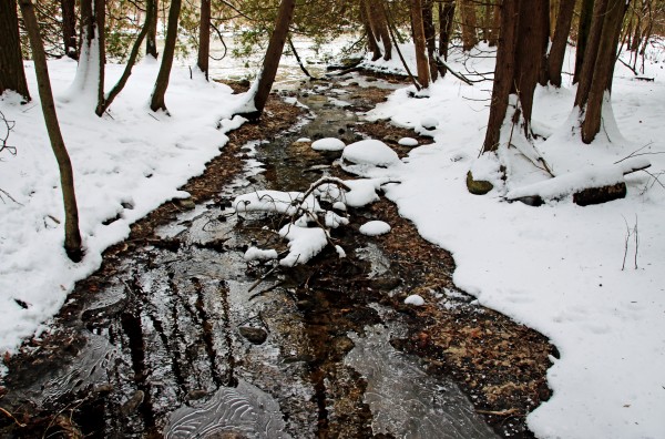 Winter Creek I by Deb Oppermann